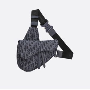 Dior saddle bag